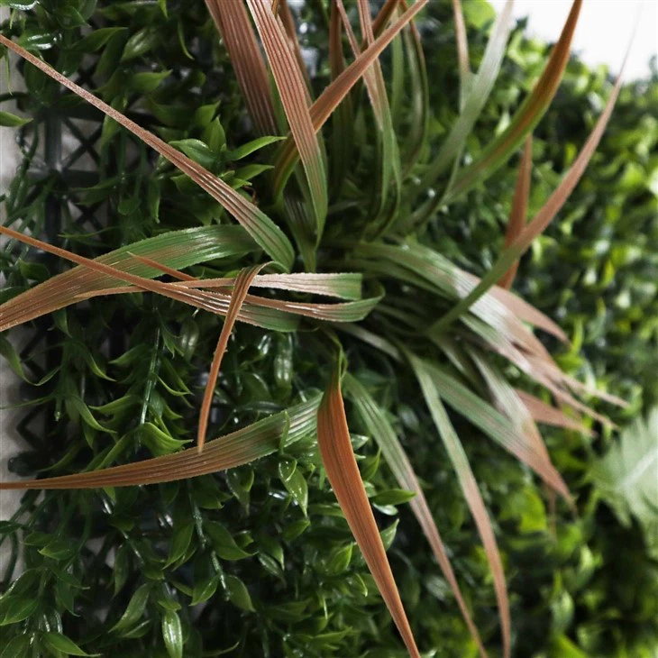 Diy Indoor Moss Wall