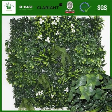 Vertical Plant Phab ntsa