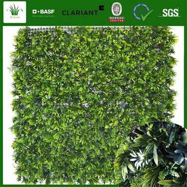 Nyom Sab Hauv Phab Ntsa