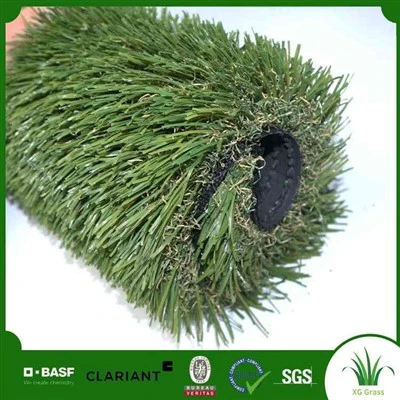 Toj roob hauv pes nrog Artificial Nyom