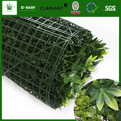 Plant Phab ntsa
