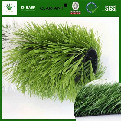Synthetic Carpet Football