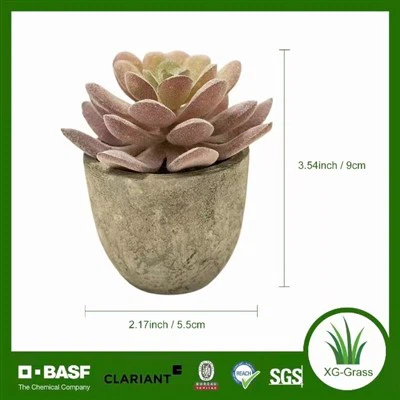 Unfading Mini Succulent Decor