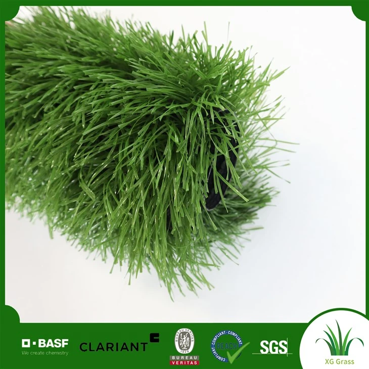Football Turf Rau Football Field
